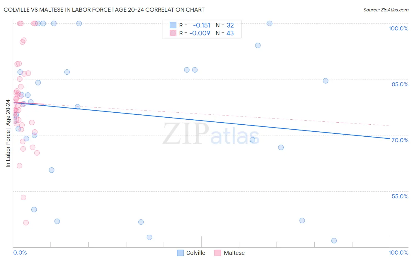 Colville vs Maltese In Labor Force | Age 20-24