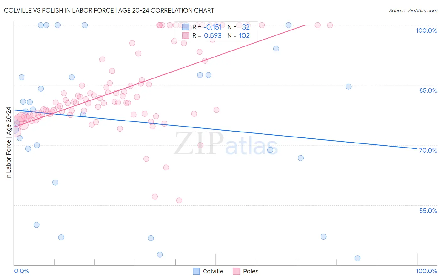Colville vs Polish In Labor Force | Age 20-24