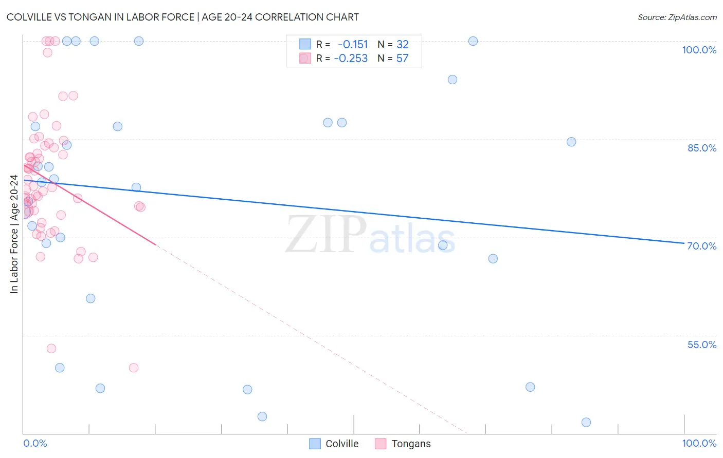 Colville vs Tongan In Labor Force | Age 20-24
