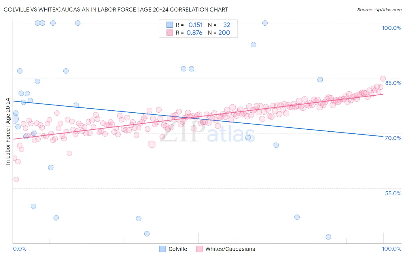Colville vs White/Caucasian In Labor Force | Age 20-24