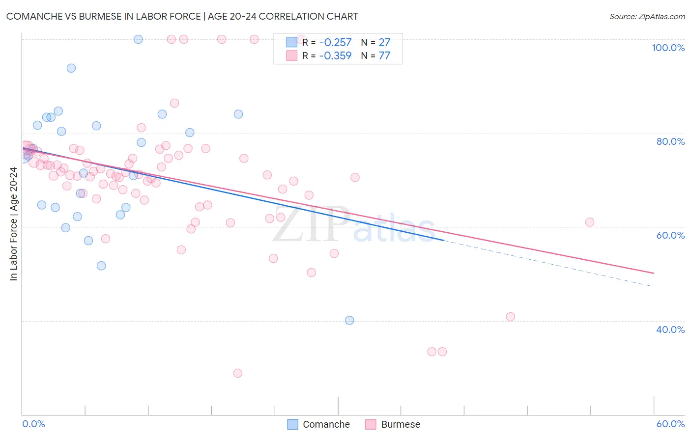 Comanche vs Burmese In Labor Force | Age 20-24