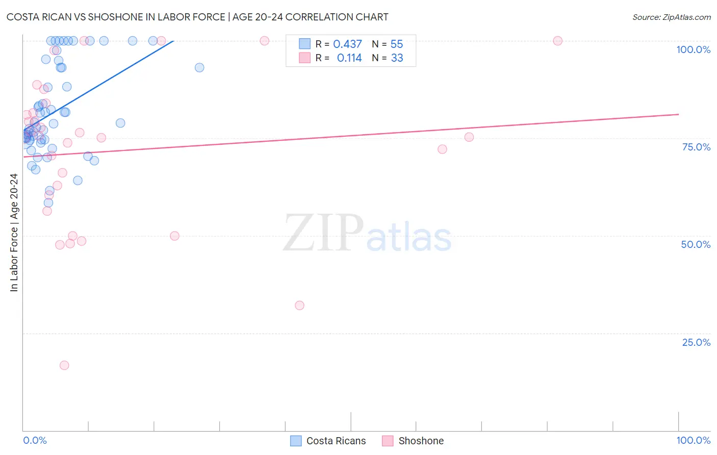Costa Rican vs Shoshone In Labor Force | Age 20-24