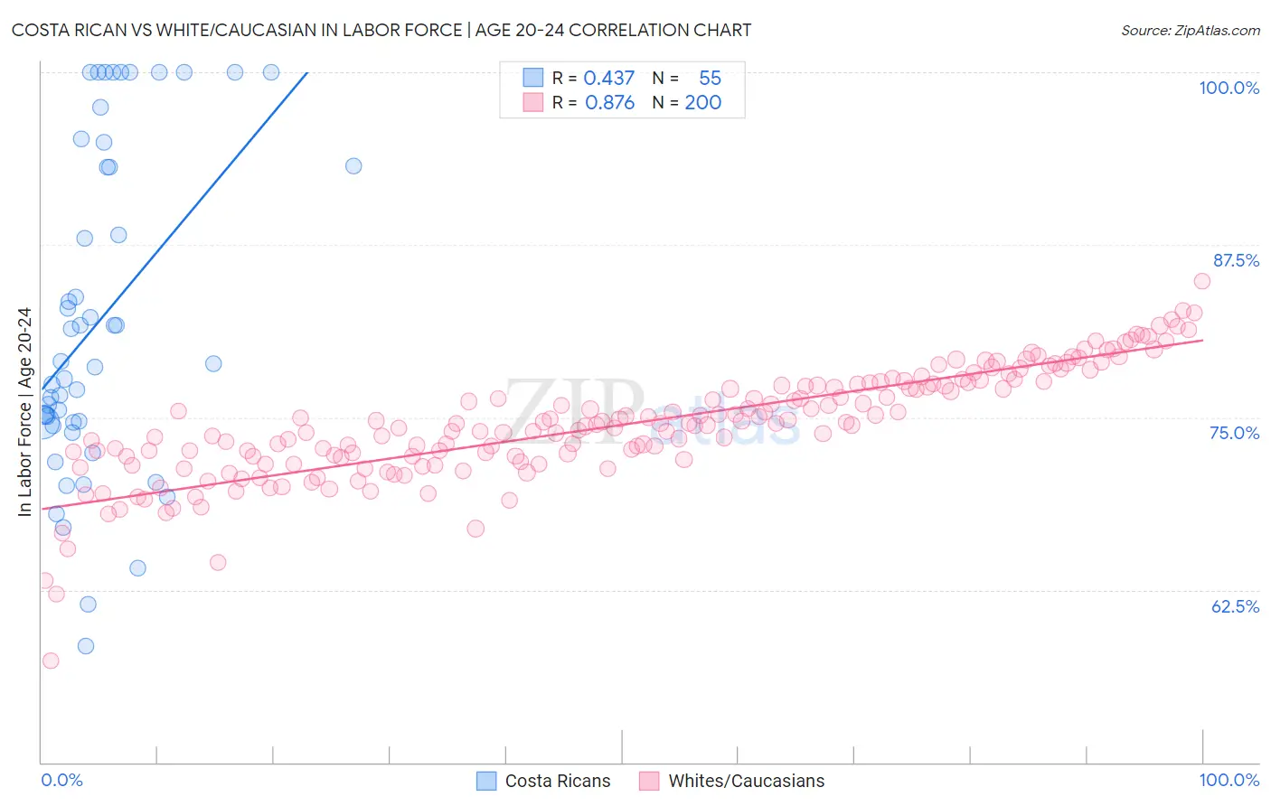 Costa Rican vs White/Caucasian In Labor Force | Age 20-24