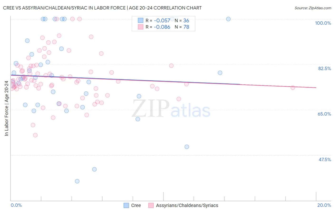Cree vs Assyrian/Chaldean/Syriac In Labor Force | Age 20-24