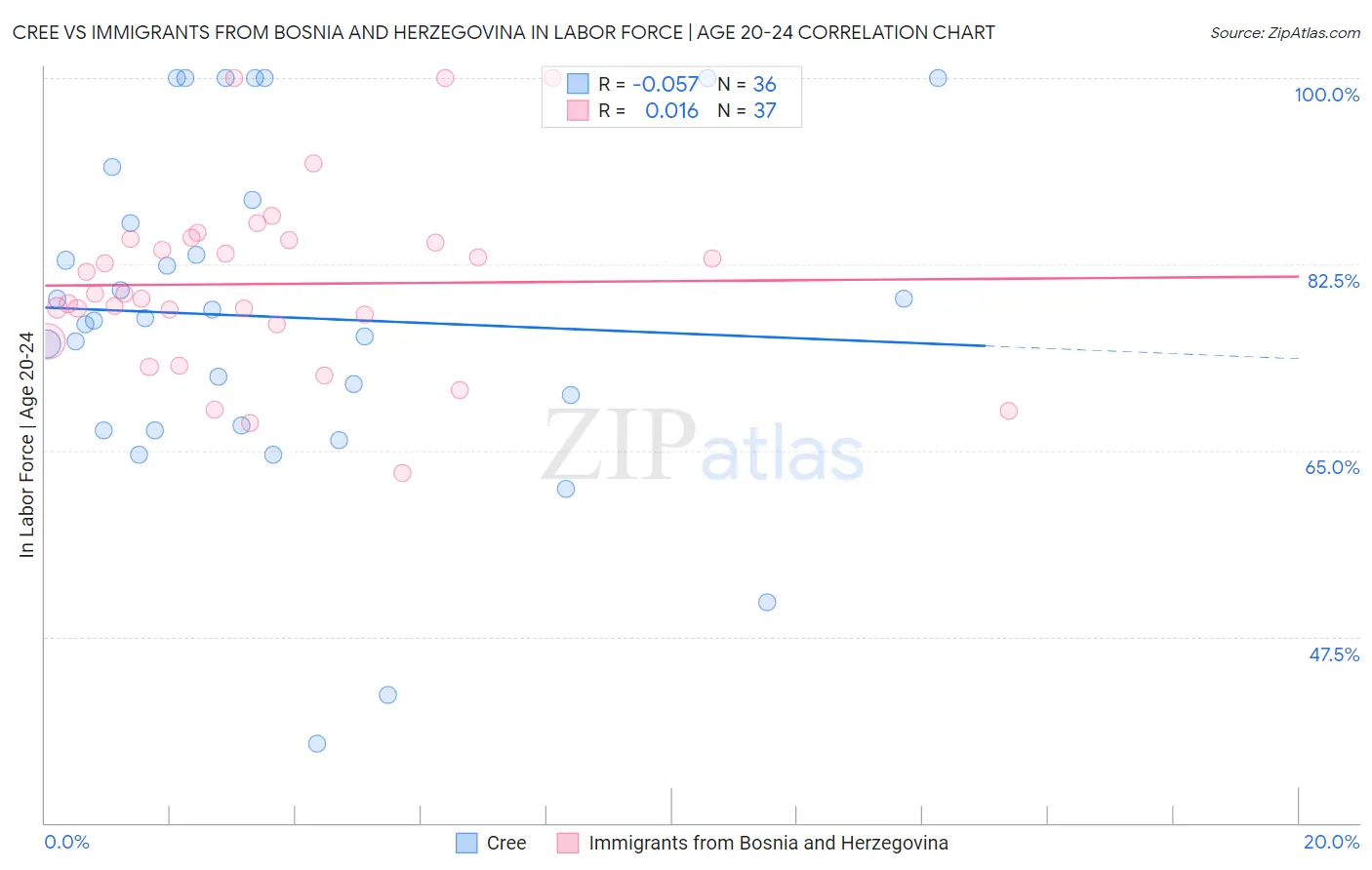 Cree vs Immigrants from Bosnia and Herzegovina In Labor Force | Age 20-24