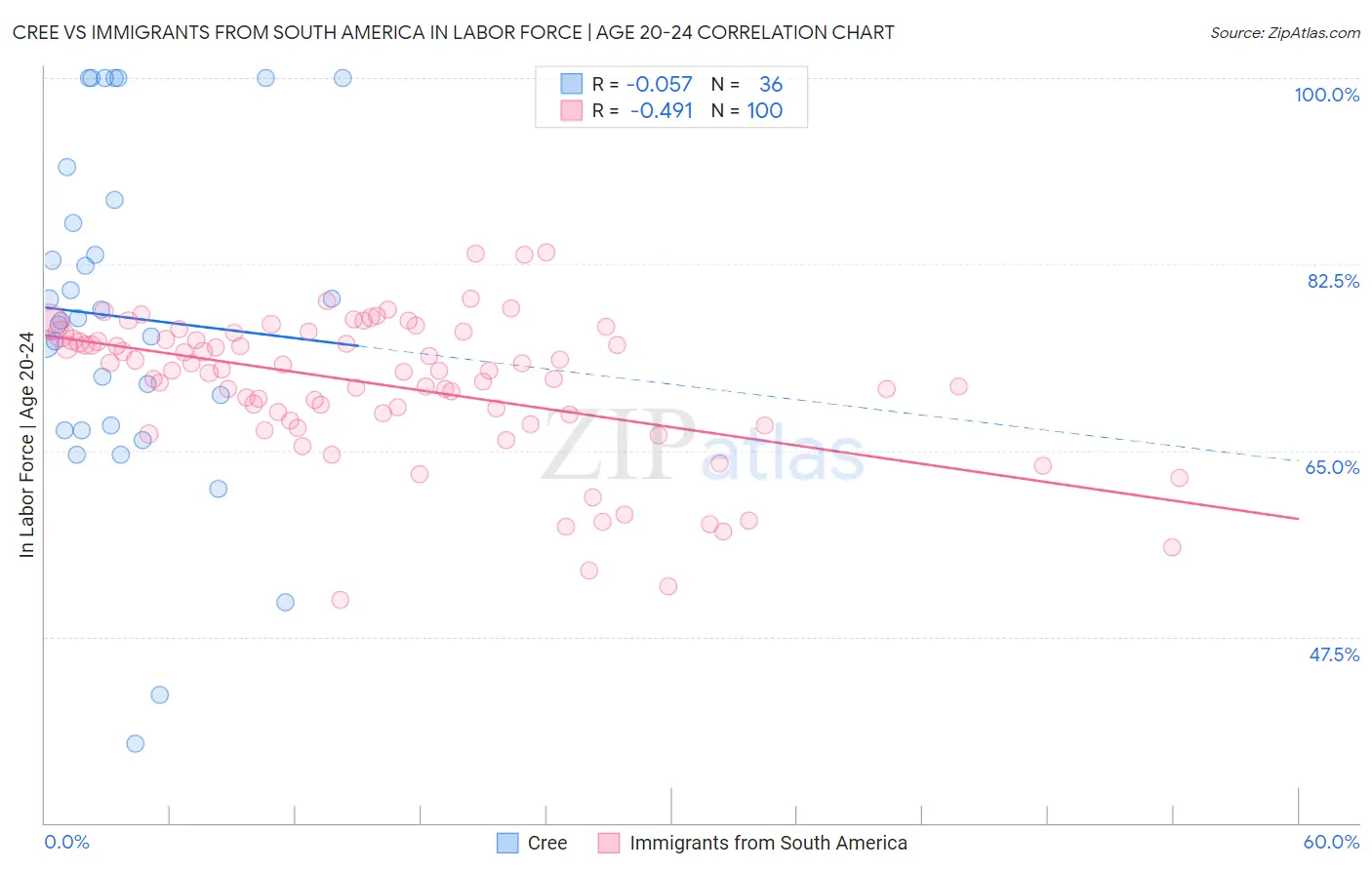 Cree vs Immigrants from South America In Labor Force | Age 20-24