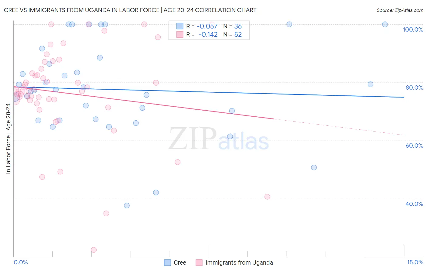 Cree vs Immigrants from Uganda In Labor Force | Age 20-24
