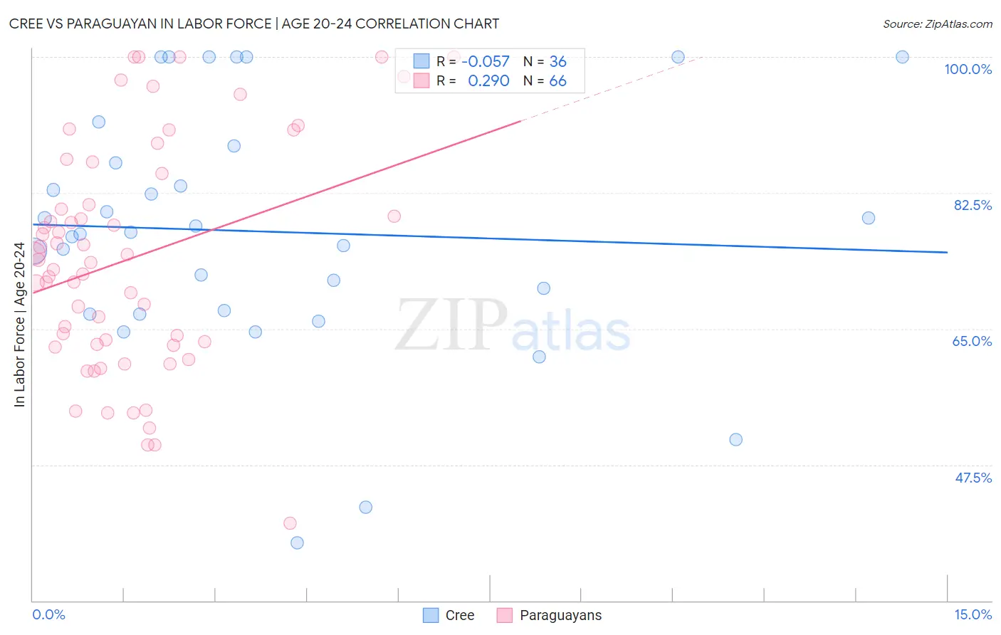 Cree vs Paraguayan In Labor Force | Age 20-24