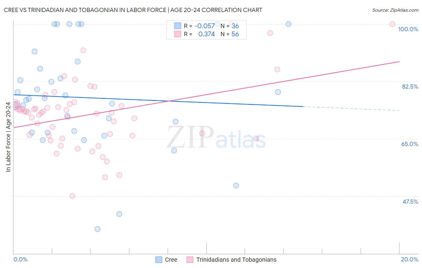 Cree vs Trinidadian and Tobagonian In Labor Force | Age 20-24