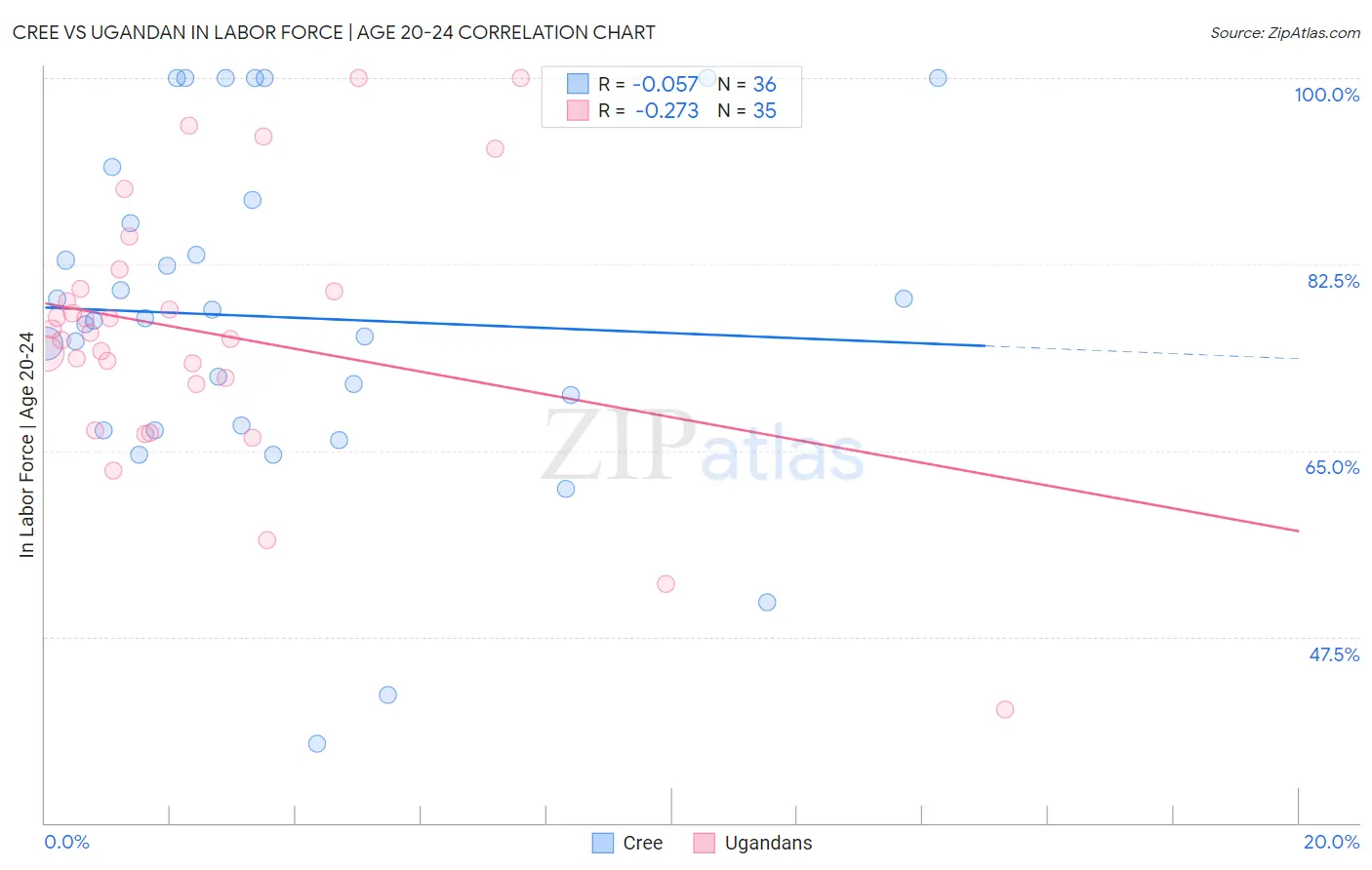 Cree vs Ugandan In Labor Force | Age 20-24