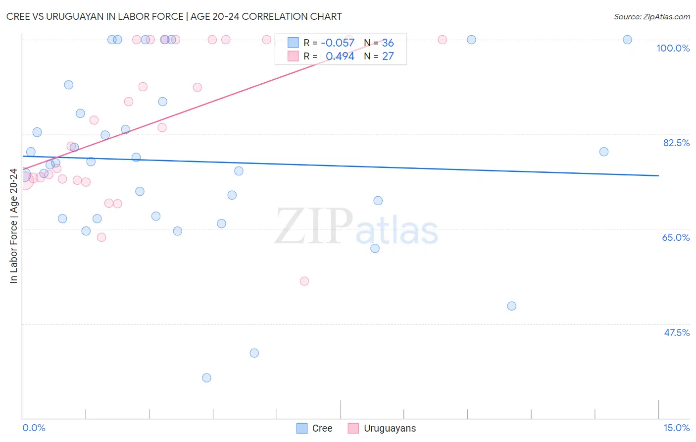 Cree vs Uruguayan In Labor Force | Age 20-24