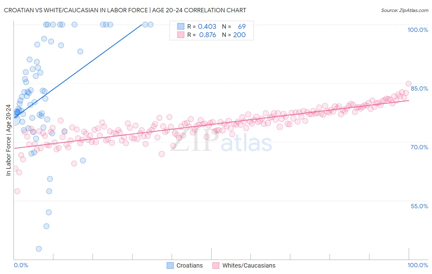 Croatian vs White/Caucasian In Labor Force | Age 20-24