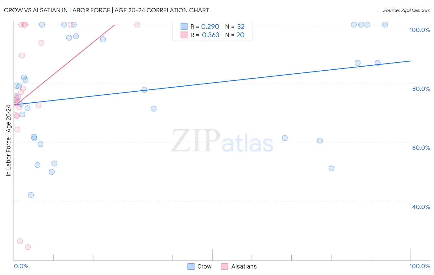 Crow vs Alsatian In Labor Force | Age 20-24