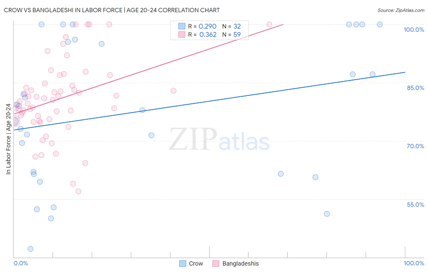 Crow vs Bangladeshi In Labor Force | Age 20-24