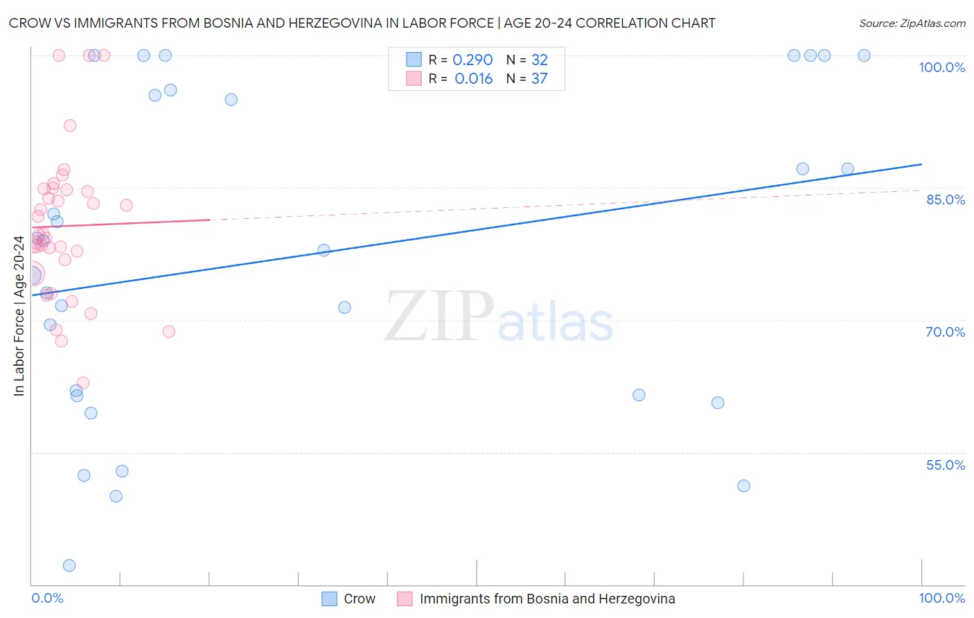 Crow vs Immigrants from Bosnia and Herzegovina In Labor Force | Age 20-24