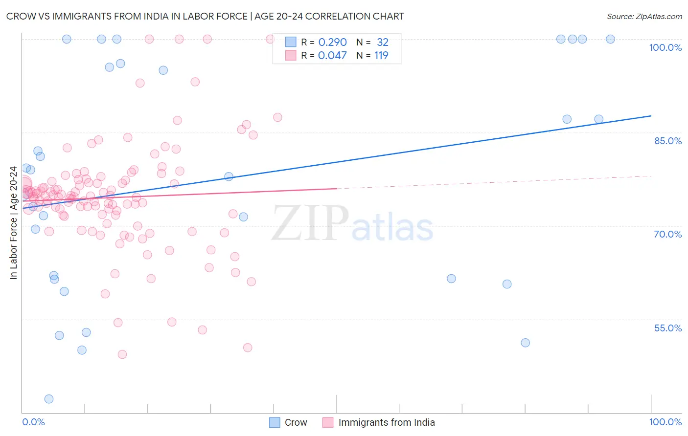 Crow vs Immigrants from India In Labor Force | Age 20-24