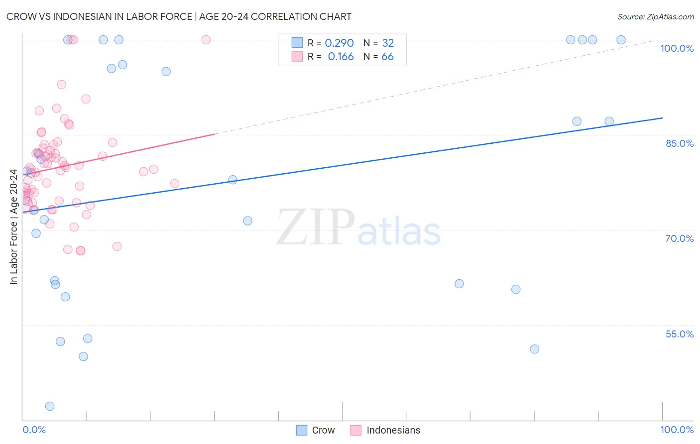 Crow vs Indonesian In Labor Force | Age 20-24