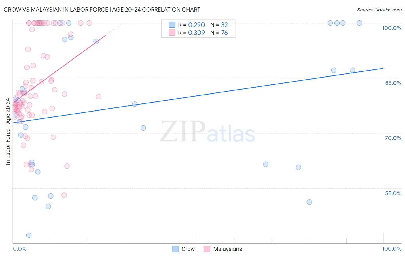 Crow vs Malaysian In Labor Force | Age 20-24