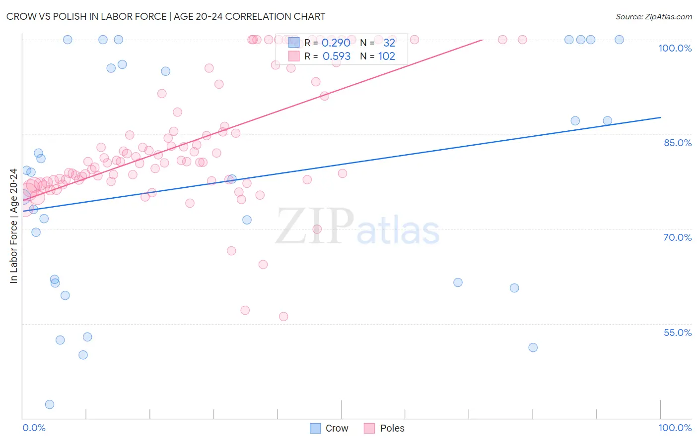 Crow vs Polish In Labor Force | Age 20-24