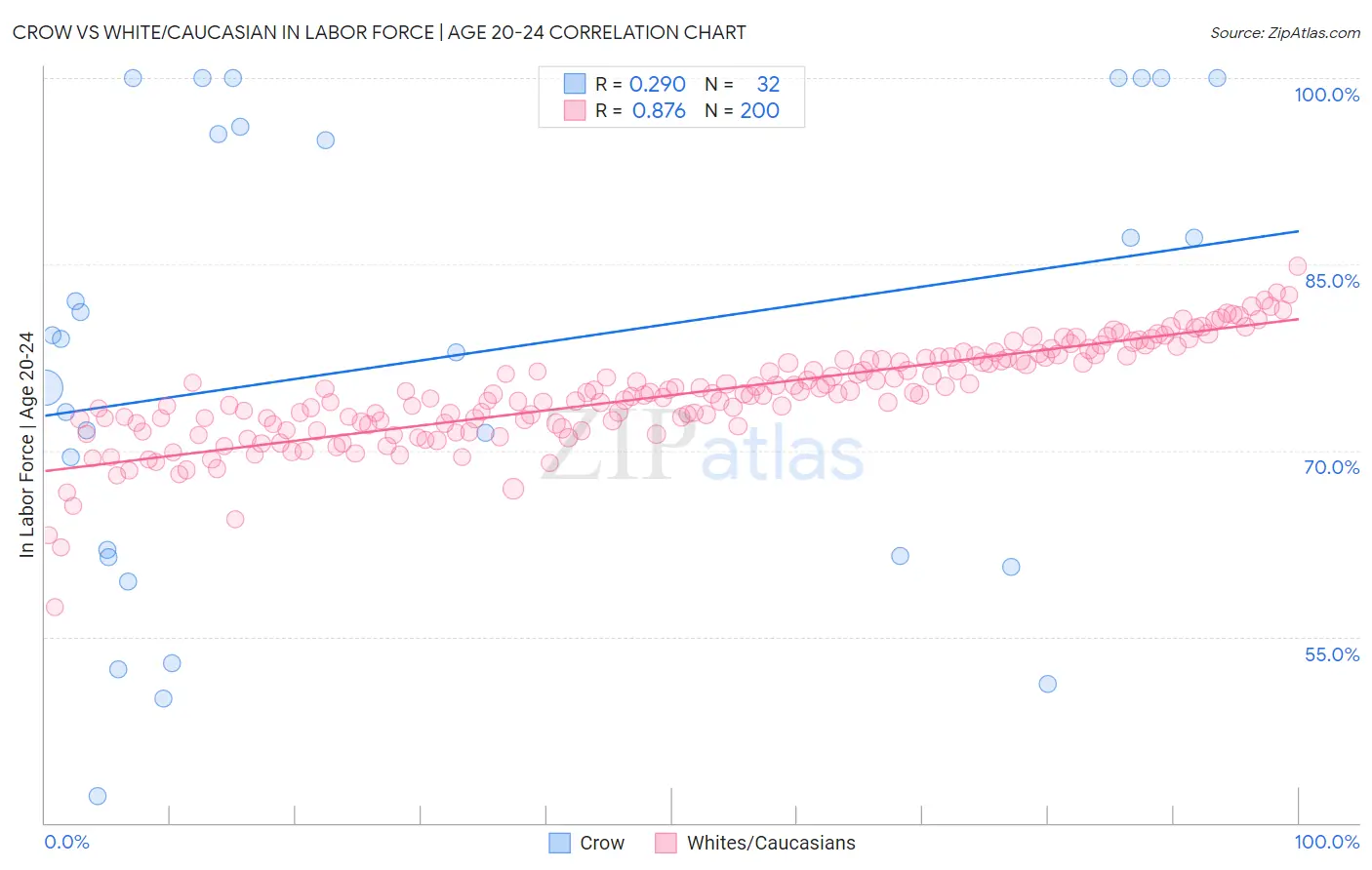 Crow vs White/Caucasian In Labor Force | Age 20-24