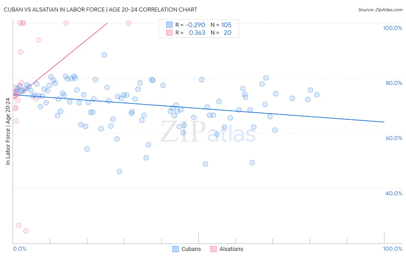 Cuban vs Alsatian In Labor Force | Age 20-24