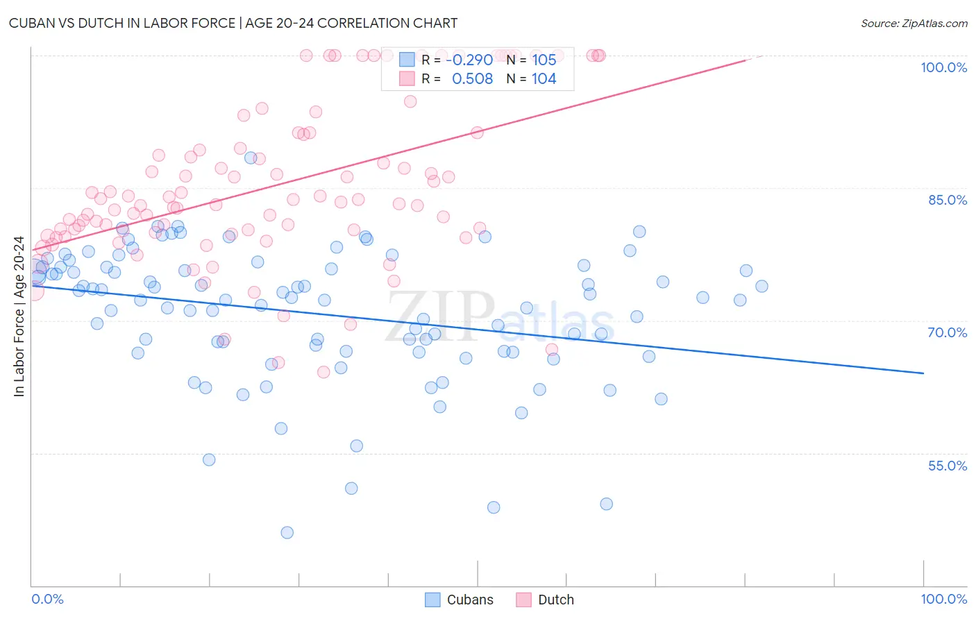 Cuban vs Dutch In Labor Force | Age 20-24