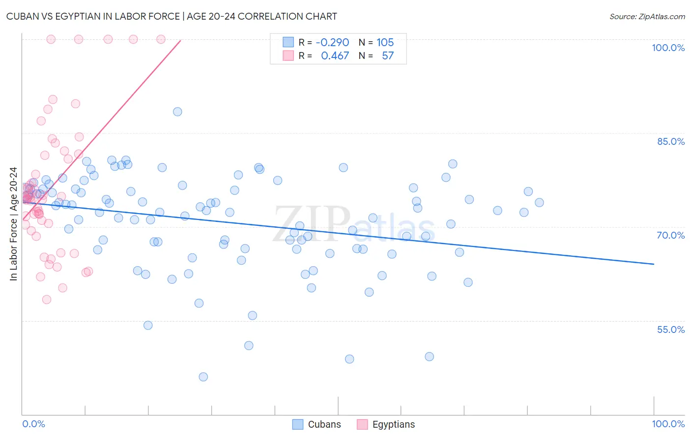 Cuban vs Egyptian In Labor Force | Age 20-24