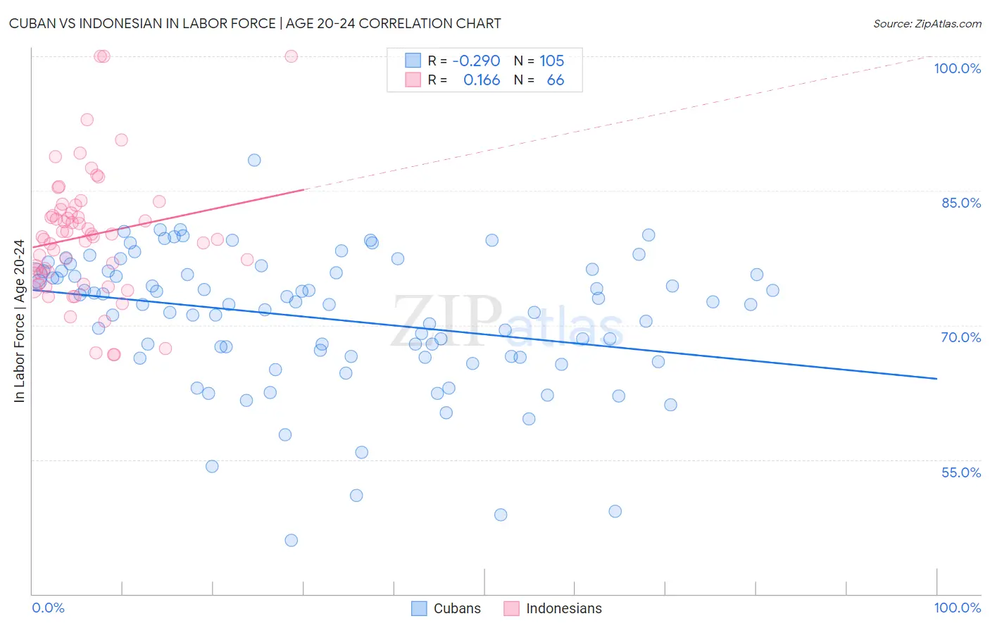 Cuban vs Indonesian In Labor Force | Age 20-24