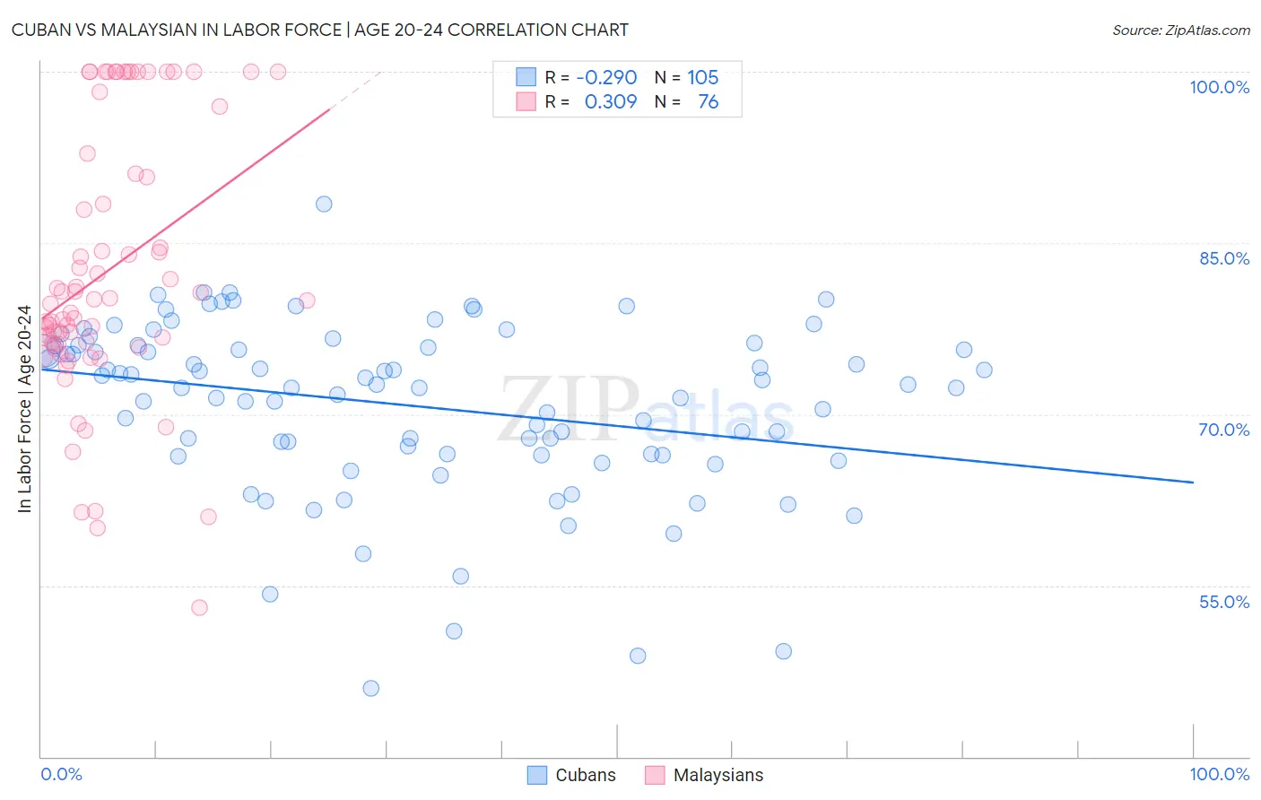Cuban vs Malaysian In Labor Force | Age 20-24