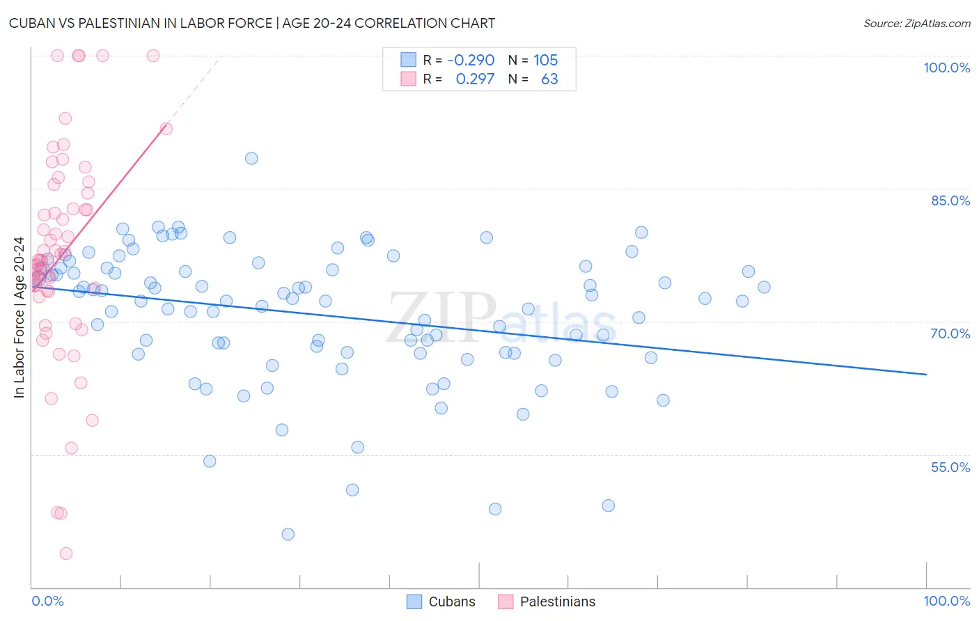 Cuban vs Palestinian In Labor Force | Age 20-24