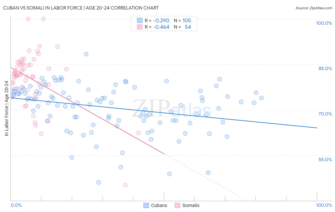 Cuban vs Somali In Labor Force | Age 20-24