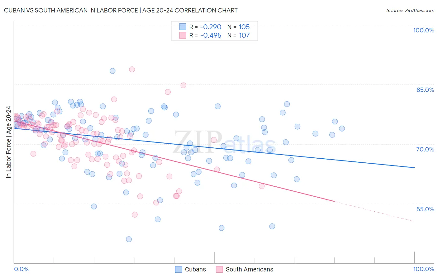 Cuban vs South American In Labor Force | Age 20-24