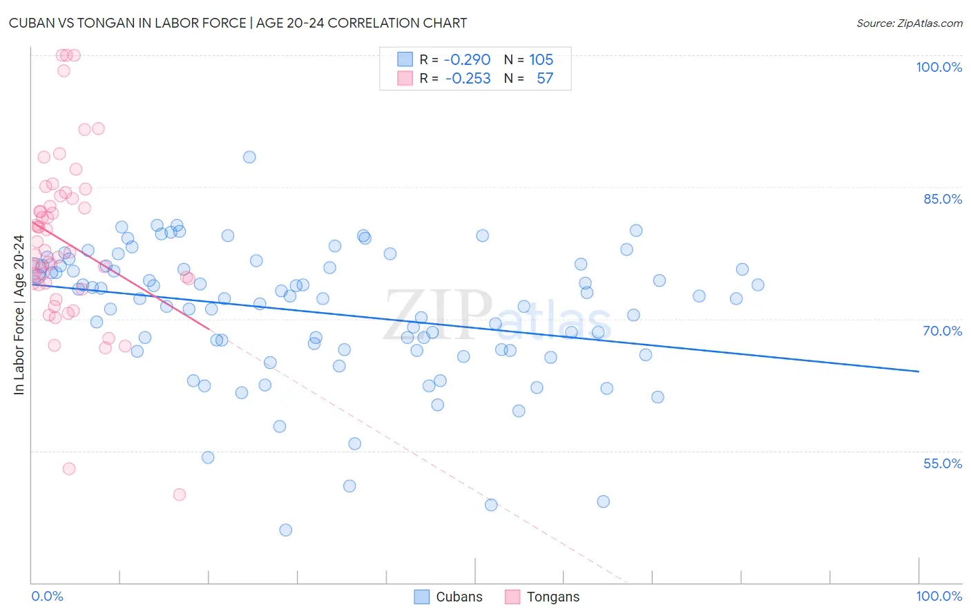 Cuban vs Tongan In Labor Force | Age 20-24