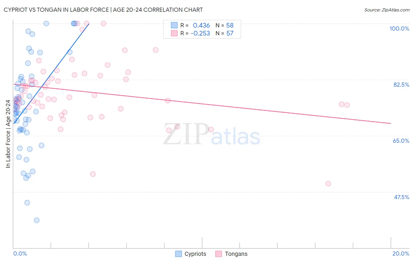 Cypriot vs Tongan In Labor Force | Age 20-24