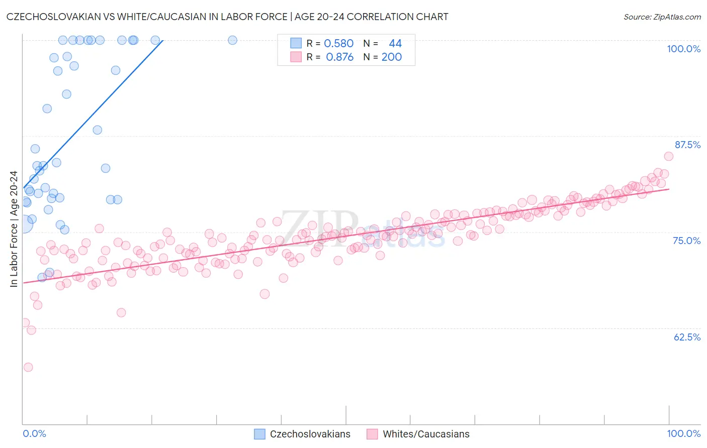 Czechoslovakian vs White/Caucasian In Labor Force | Age 20-24