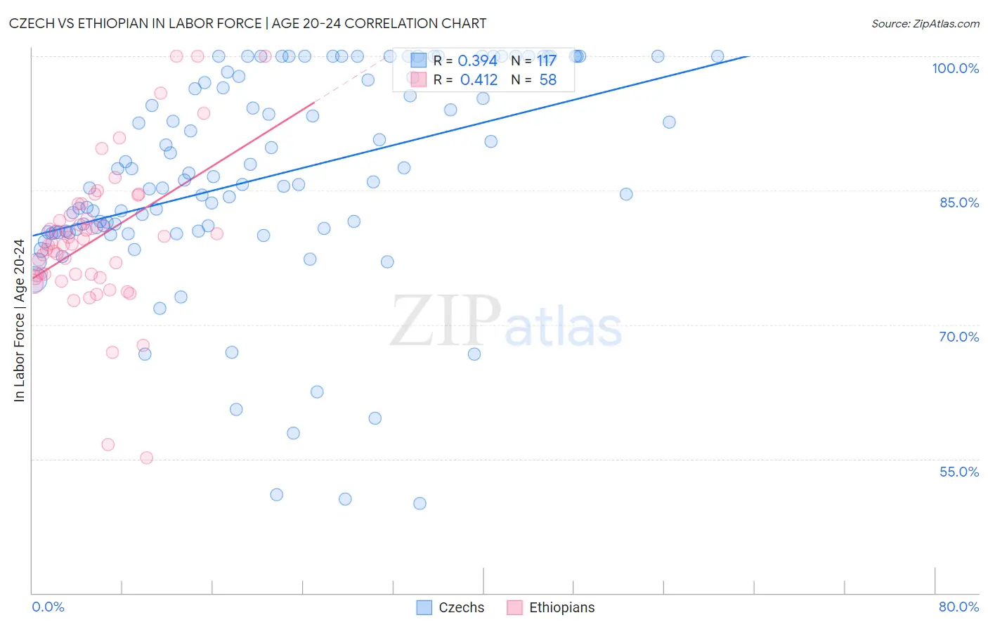 Czech vs Ethiopian In Labor Force | Age 20-24