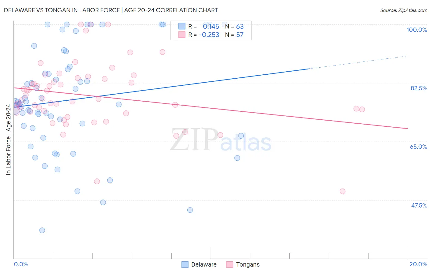 Delaware vs Tongan In Labor Force | Age 20-24