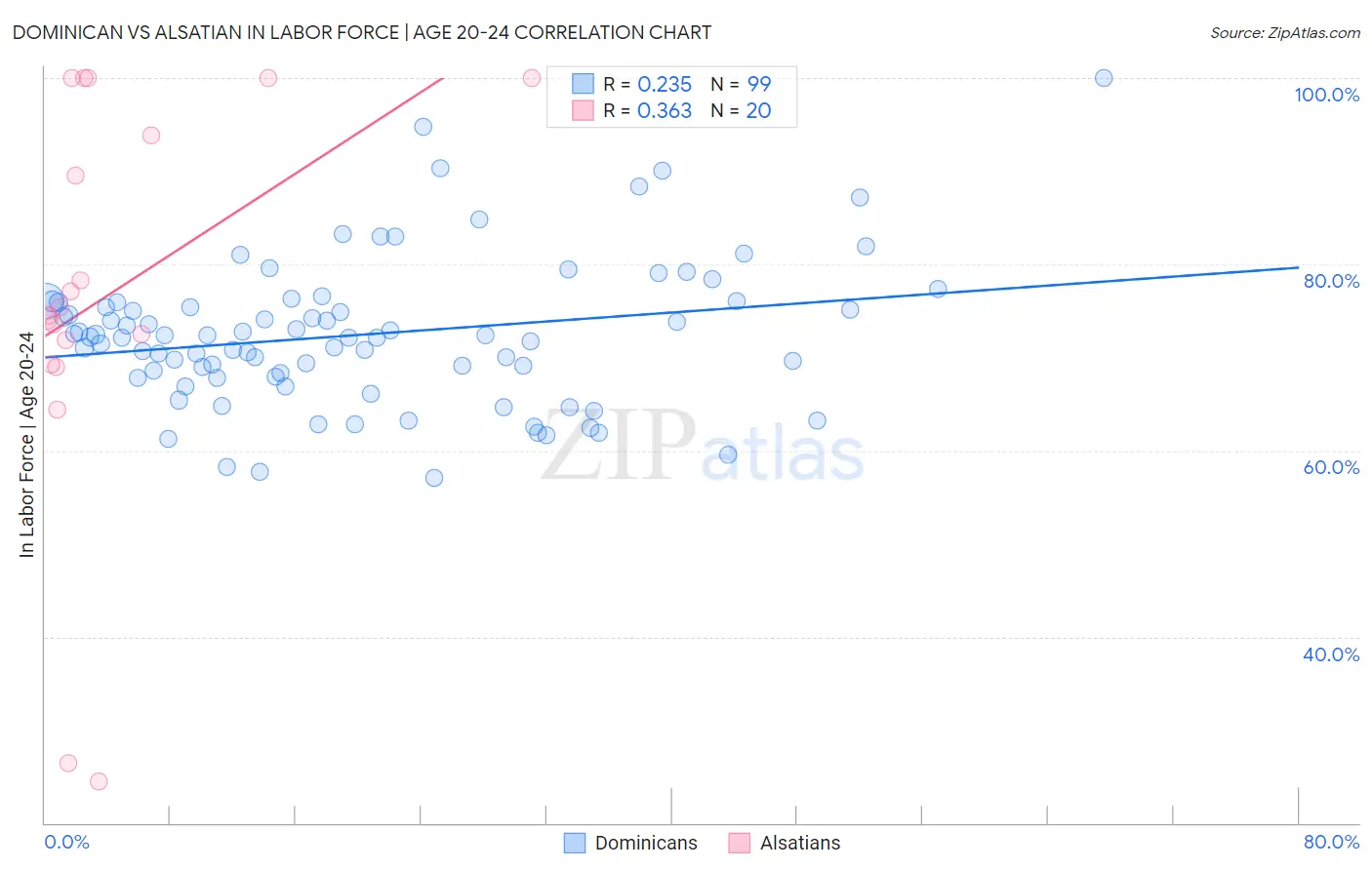 Dominican vs Alsatian In Labor Force | Age 20-24