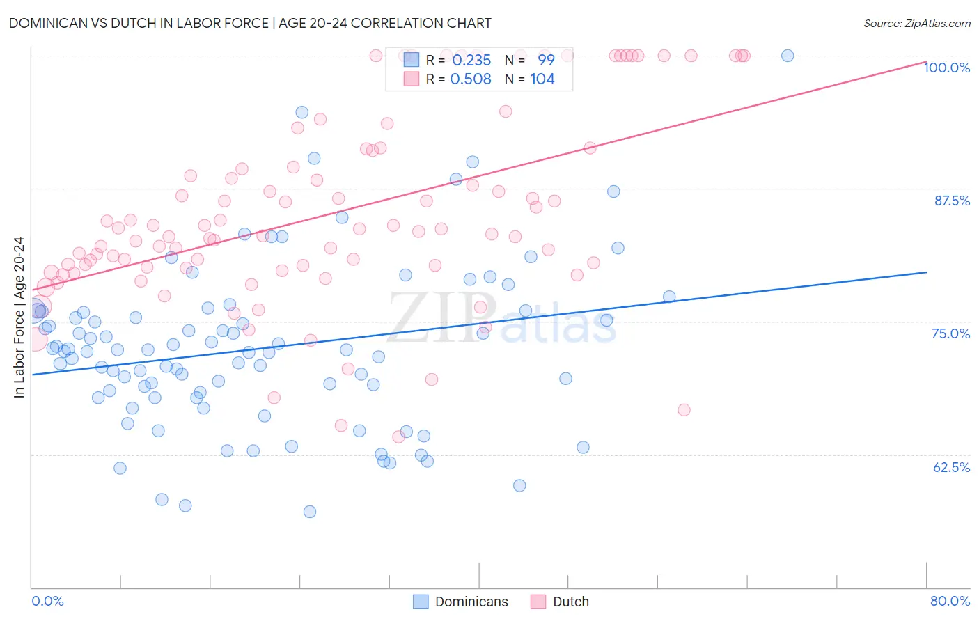 Dominican vs Dutch In Labor Force | Age 20-24