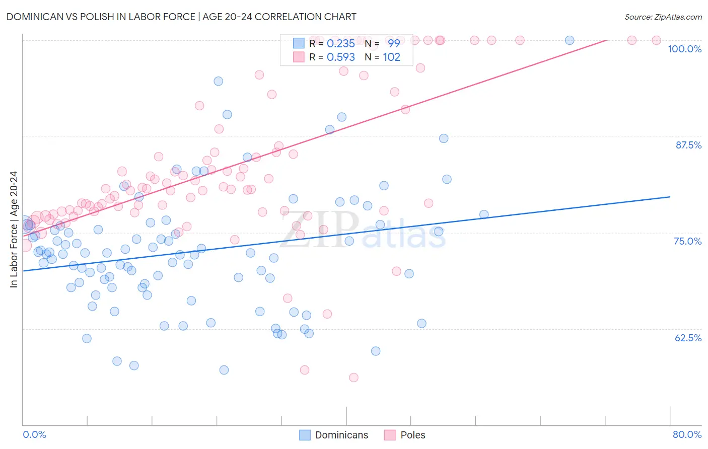 Dominican vs Polish In Labor Force | Age 20-24