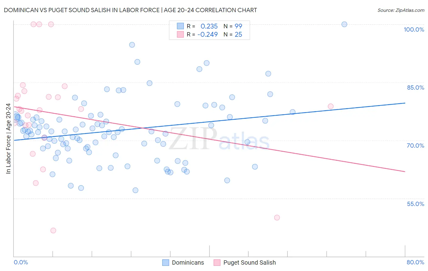 Dominican vs Puget Sound Salish In Labor Force | Age 20-24
