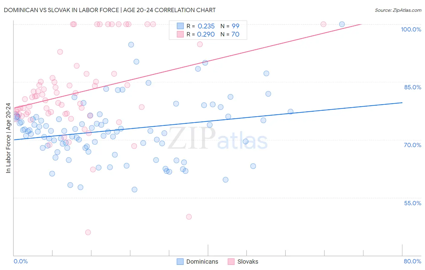 Dominican vs Slovak In Labor Force | Age 20-24