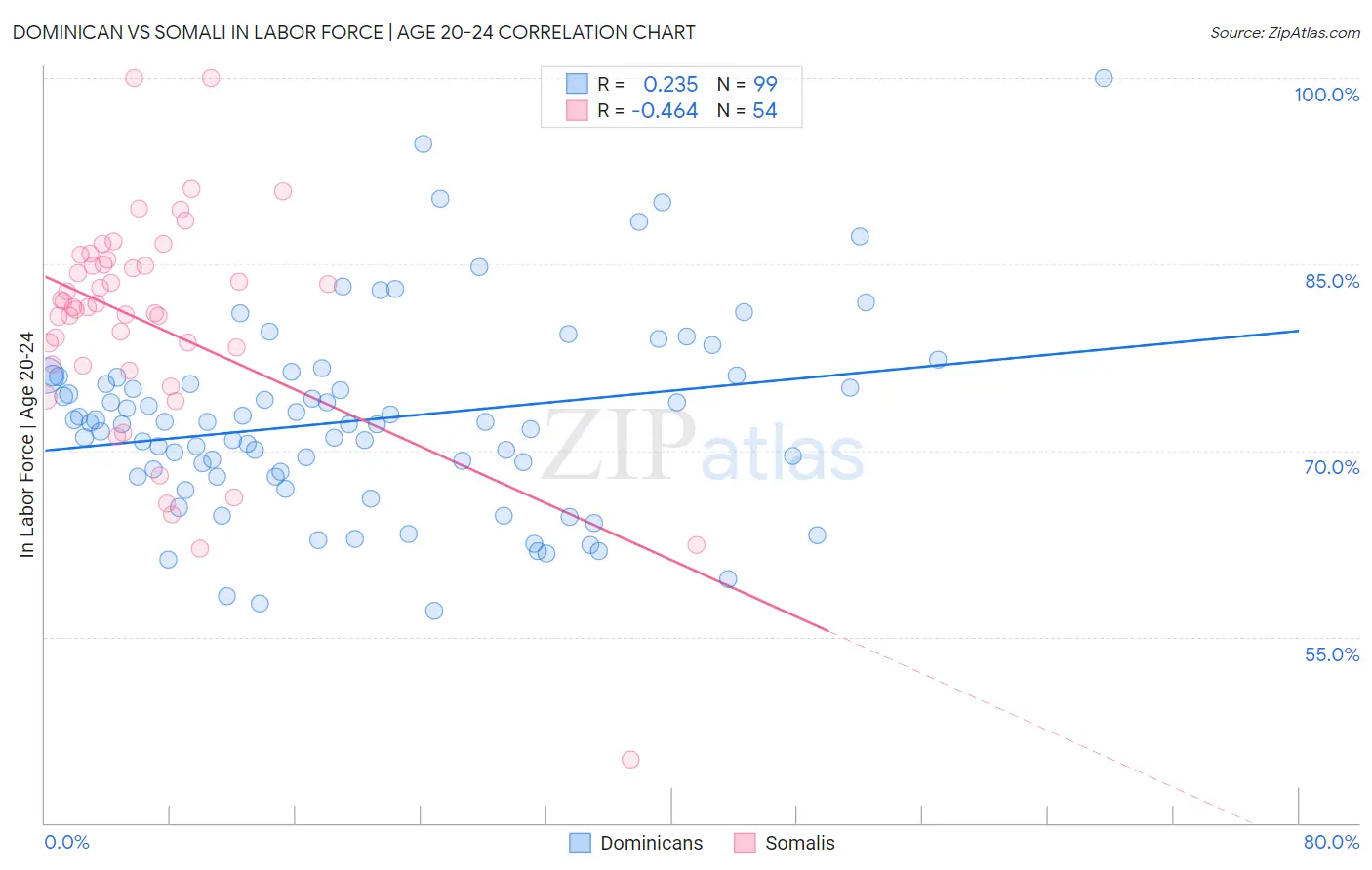 Dominican vs Somali In Labor Force | Age 20-24