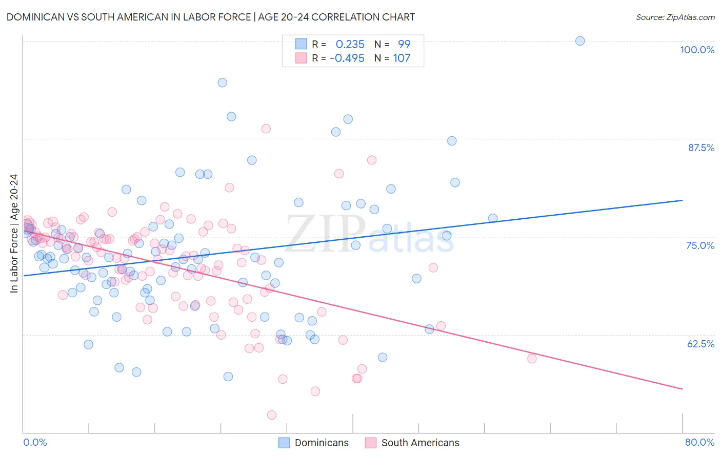 Dominican vs South American In Labor Force | Age 20-24