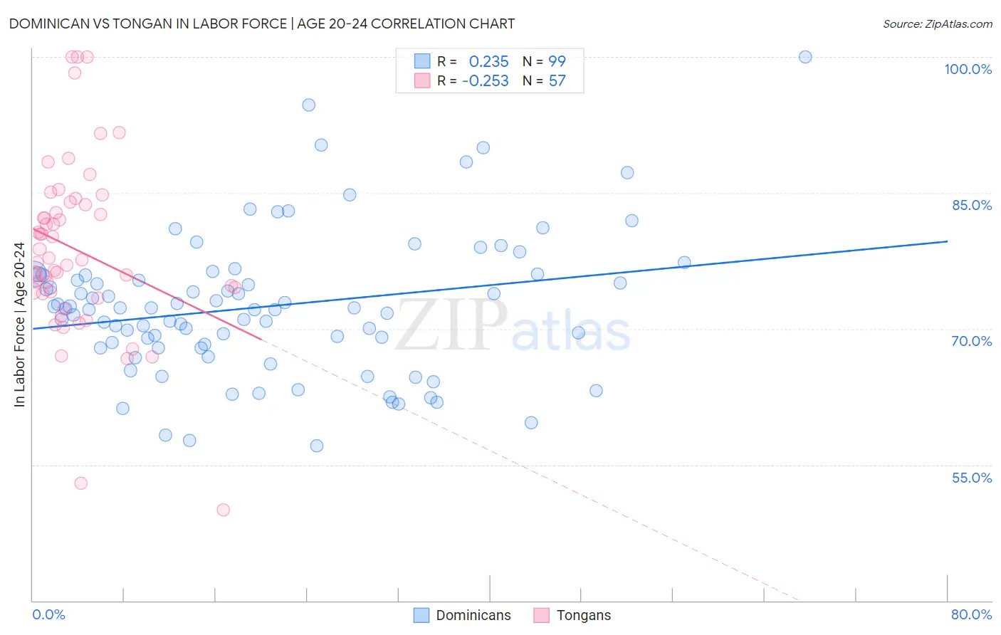 Dominican vs Tongan In Labor Force | Age 20-24