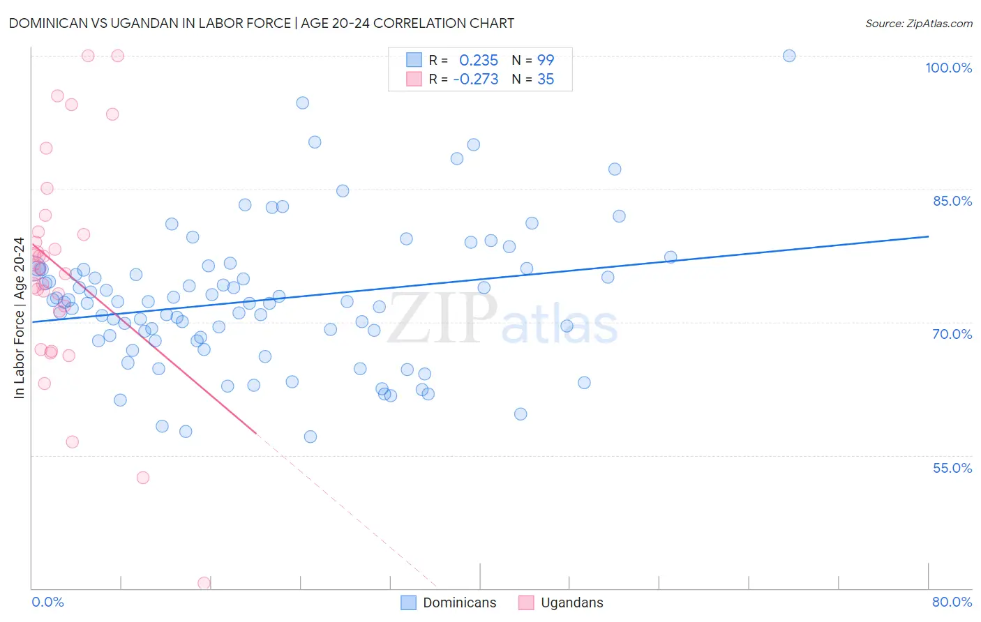 Dominican vs Ugandan In Labor Force | Age 20-24
