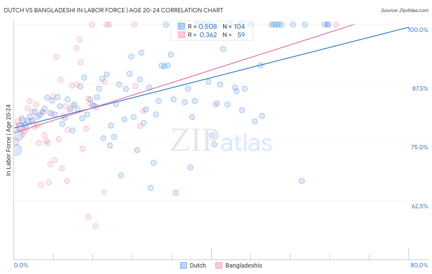 Dutch vs Bangladeshi In Labor Force | Age 20-24
