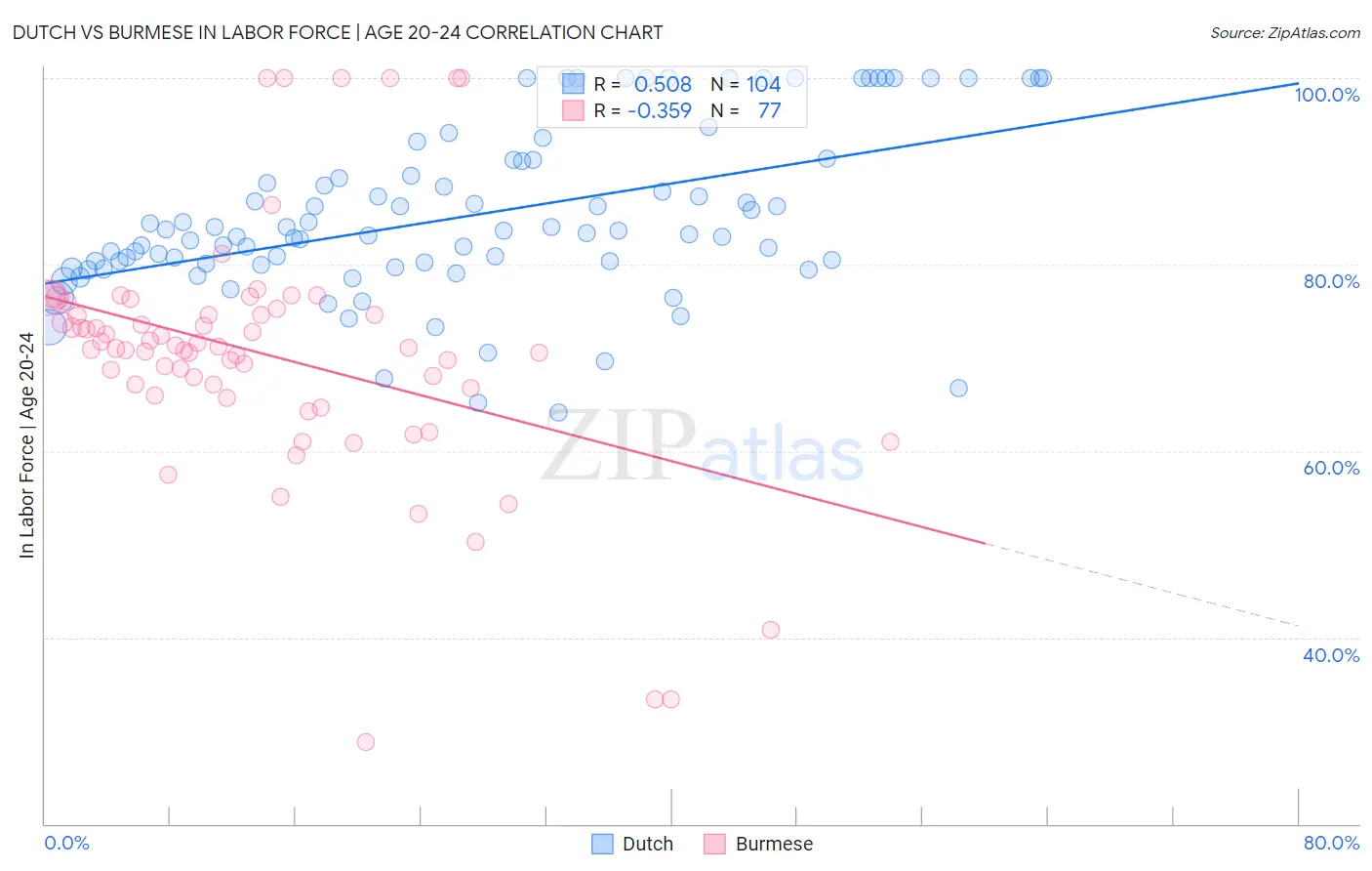 Dutch vs Burmese In Labor Force | Age 20-24