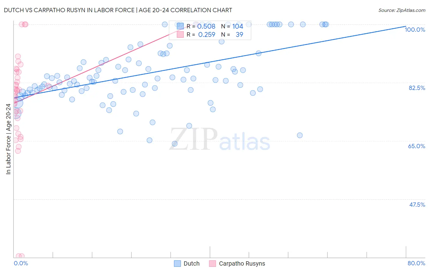 Dutch vs Carpatho Rusyn In Labor Force | Age 20-24