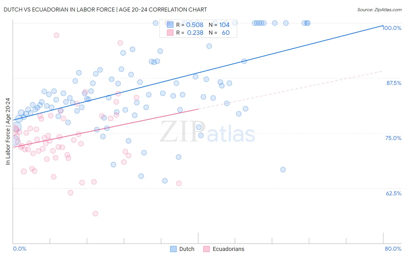 Dutch vs Ecuadorian In Labor Force | Age 20-24